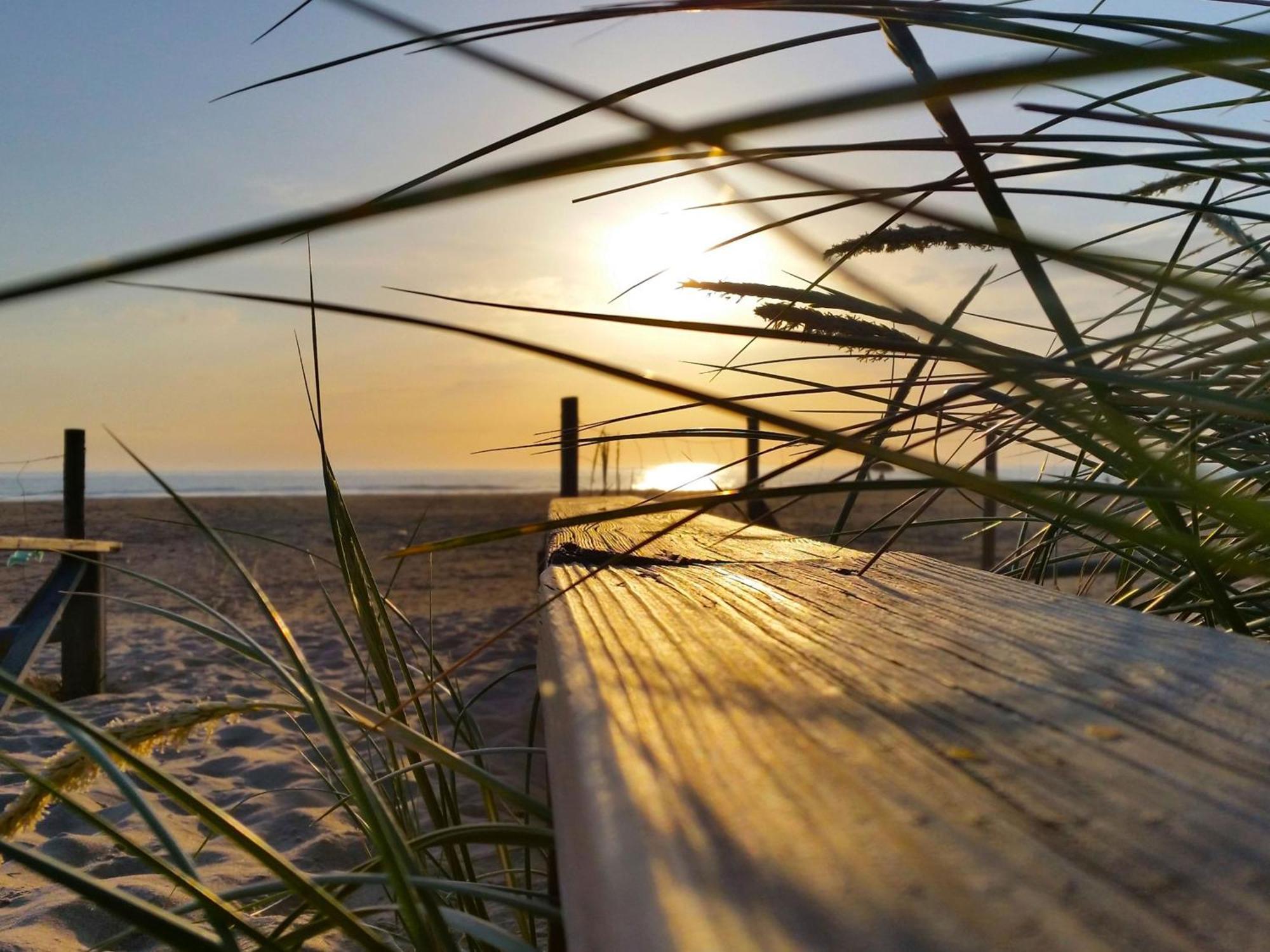 엘 팔마르 Agoodplan Aitana Playa El Palmar 아파트 외부 사진